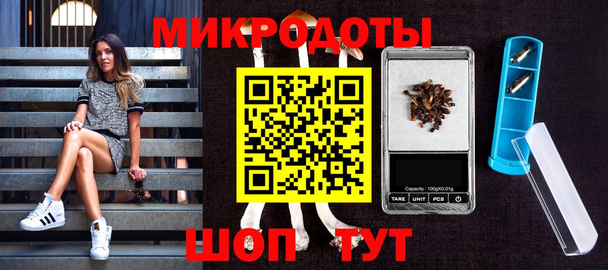 Галлюциногенные грибы мицелий  Вход с VPN  Миллерово  Псилоцибиновые грибы мицелий 